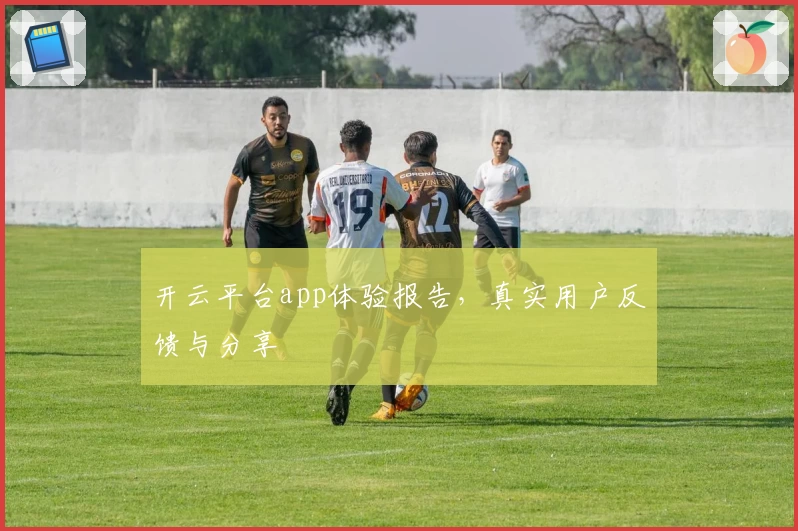 开云平台app体验报告，真实用户反馈与分享