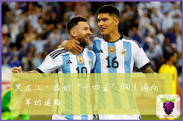 黑龙江·我的“十四五”⒁｜通向冠军的道路