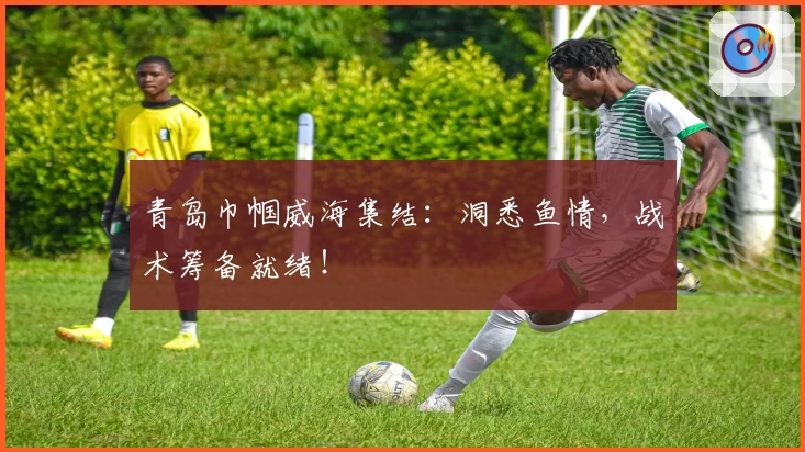 青岛巾帼威海集结：洞悉鱼情，战术筹备就绪！