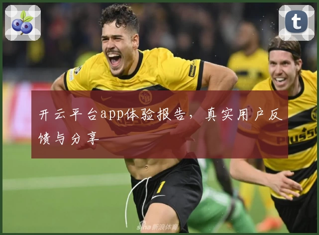 开云平台app体验报告，真实用户反馈与分享