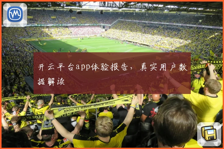 开云平台app体验报告，真实用户数据解读